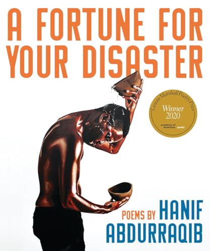 A Fortune for Your Disaster cover