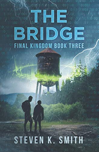 The Bridge book cover