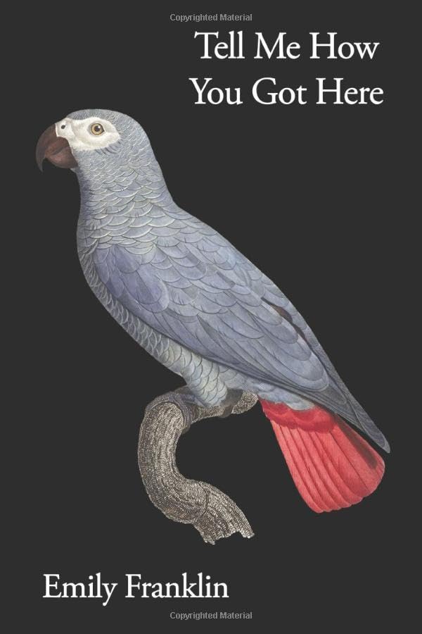 Tell Me How You Got Here cover