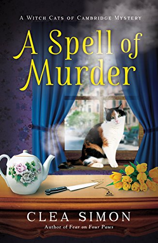 A Spell of Murder book cover