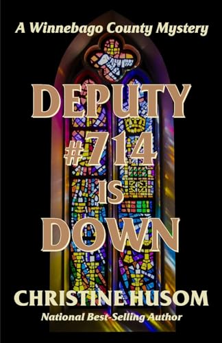 Deputy #714 Is Down book cover