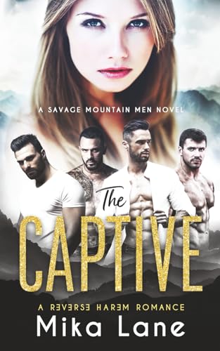 The Captive book cover