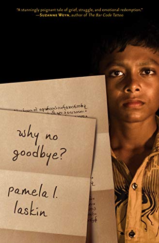 Cover of Why No Goodbye?