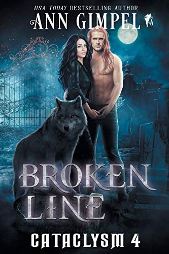 Broken Line book cover