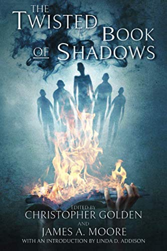 The Twisted Book Of Shadows book cover