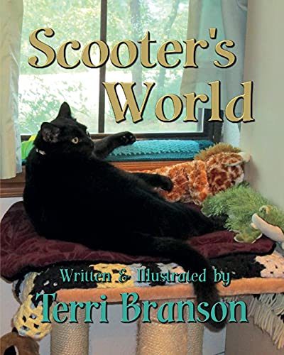 Cover of Scooter's World