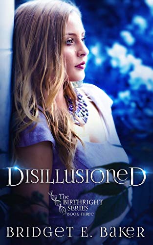 Disillusioned book cover