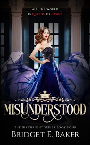 MisUnderstood book cover