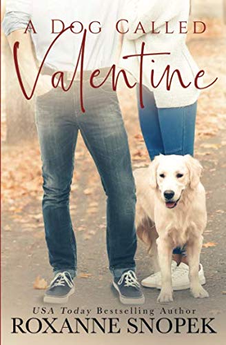 A Dog Called Valentine book cover