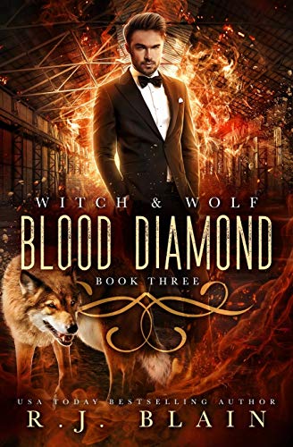 Blood Diamond book cover