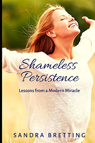 Shameless Persistence: Lessons from a Modern Miracle book cover