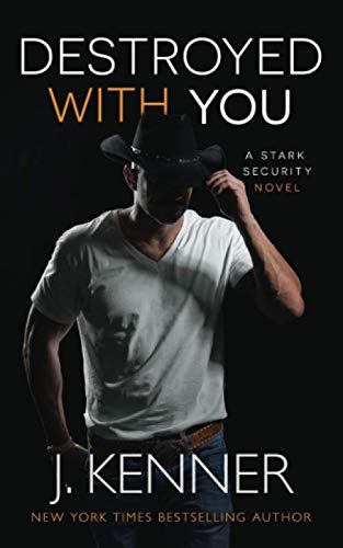 Destroyed With You book cover