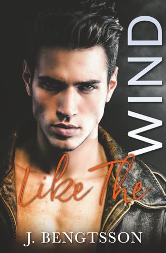 Like The Wind book cover