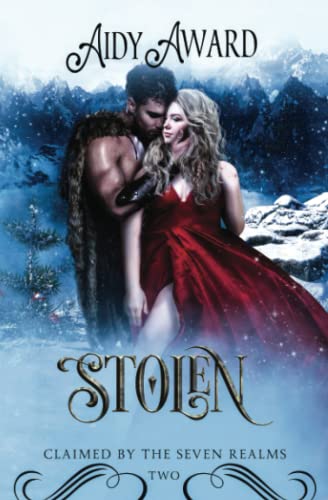 Stolen book cover