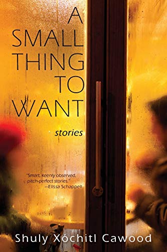 A Small Thing to Want book cover