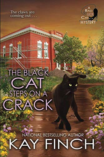 The Black Cat Steps on a Crack book cover