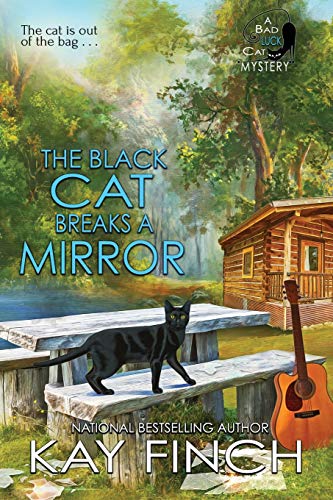 The Black Cat Breaks a Mirror book cover