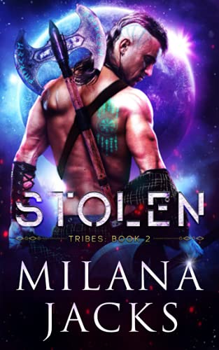 Stolen book cover