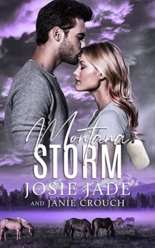 Montana Storm book cover