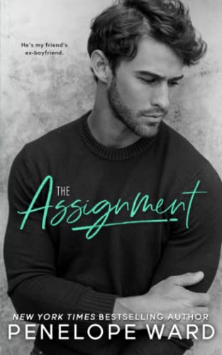 The Assignment book cover