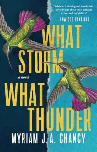What Storm, What Thunder book cover