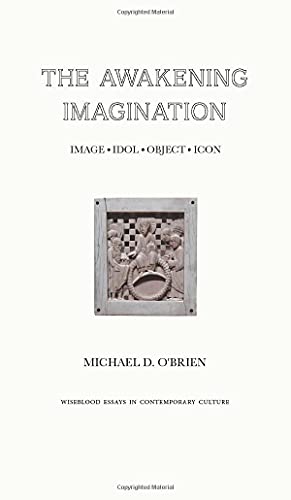 The Awakening Imagination book cover