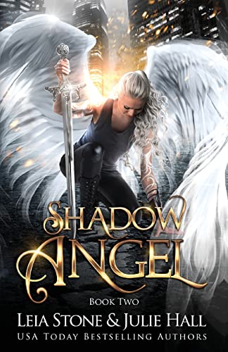 Shadow Angel: Book Two book cover