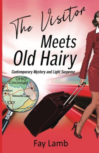 The Visitor Meets Old Hairy book cover