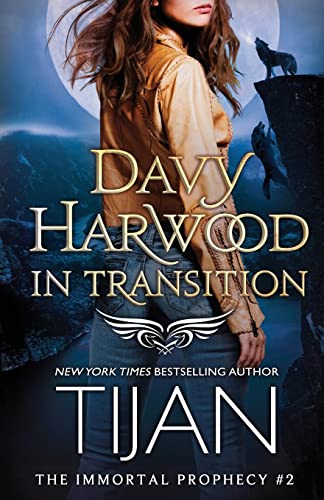 Davy Harwood in Transition book cover