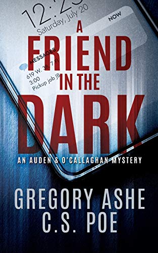 A Friend in the Dark book cover