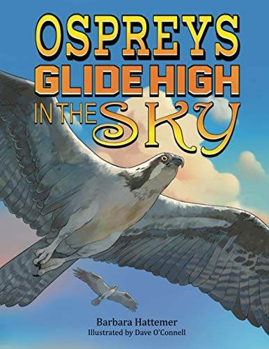 Cover of Ospreys Glide High in the Sky