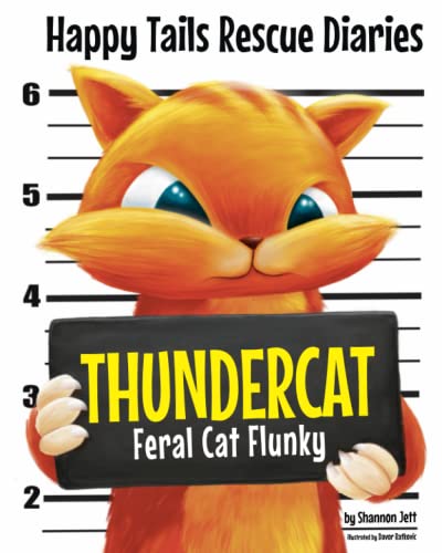 Cover of Thundercat