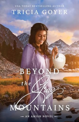 Beyond the Gray Mountains book cover