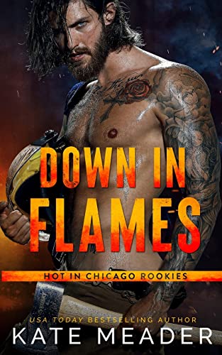 Down in Flames book cover