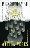 The Black Maybe: Liminal Tales