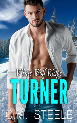 Turner book cover