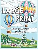 Large Print Color by Number for Adults: Coloring Book Volume 2 - A Variety of Simple, Easy Designs for Relaxation (Large Print Color By Numbers)