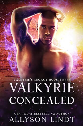 Valkyrie Concealed book cover