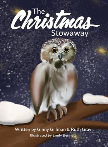 Cover of Christmas Stowaway