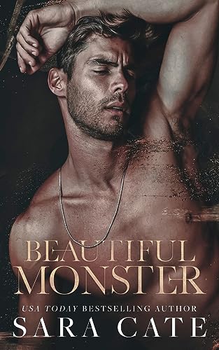 Beautiful Monster book cover