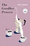 The Goodbye Process: Stories
