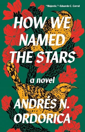 How We Named the Stars cover