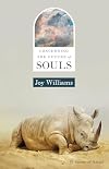 Concerning the Future of Souls