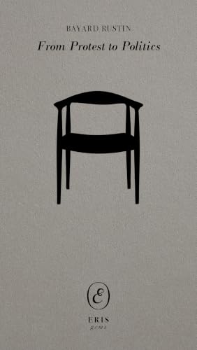 From Protest to Politics (Short Story) book cover