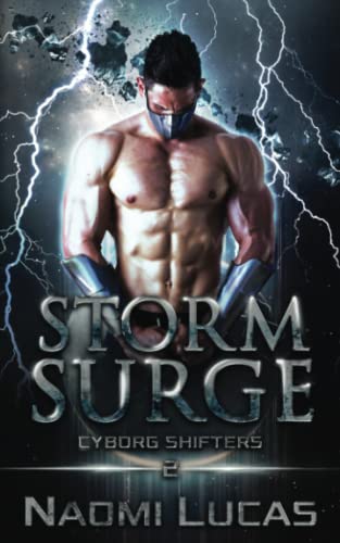 Storm Surge book cover