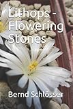 Lithops Flowering Stones