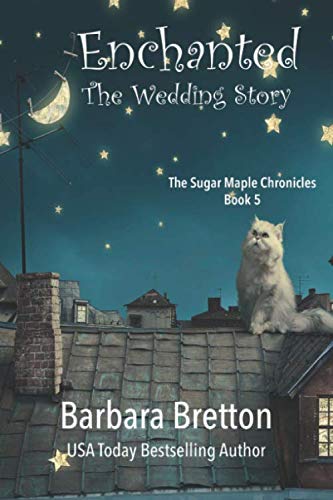 Enchanted book cover