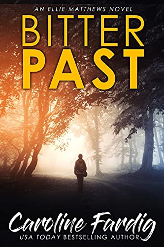 Bitter Past book cover