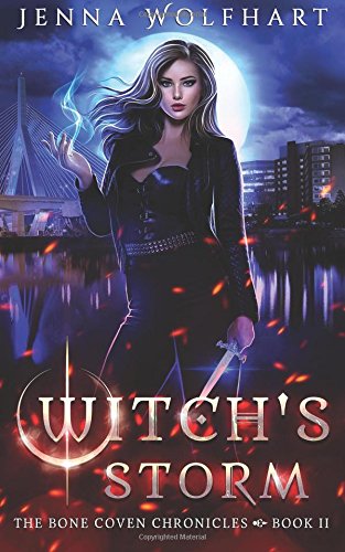 Witch's Storm book cover
