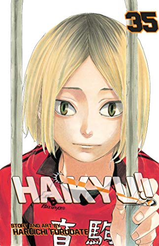 Haikyu!!, Vol. 35 book cover